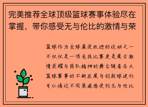 完美推荐全球顶级篮球赛事体验尽在掌握，带你感受无与伦比的激情与荣耀